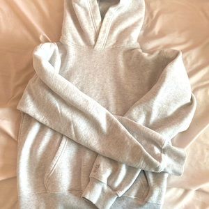 Aritzia hoodie